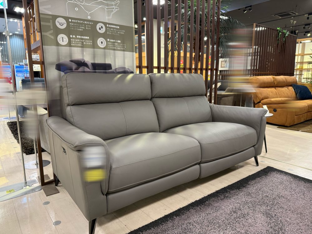 ファニチャードーム ワタリジャパン 無重力ソファ