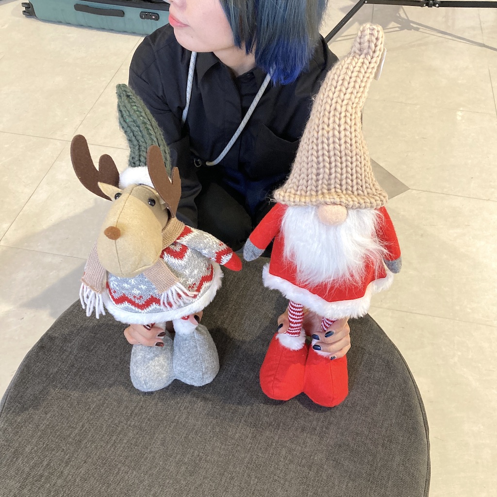 ファニチャードーム