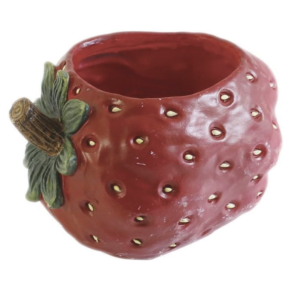 ストロベリーポット BRGD1001 M