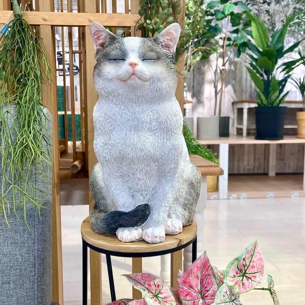 スマイル キャット	 