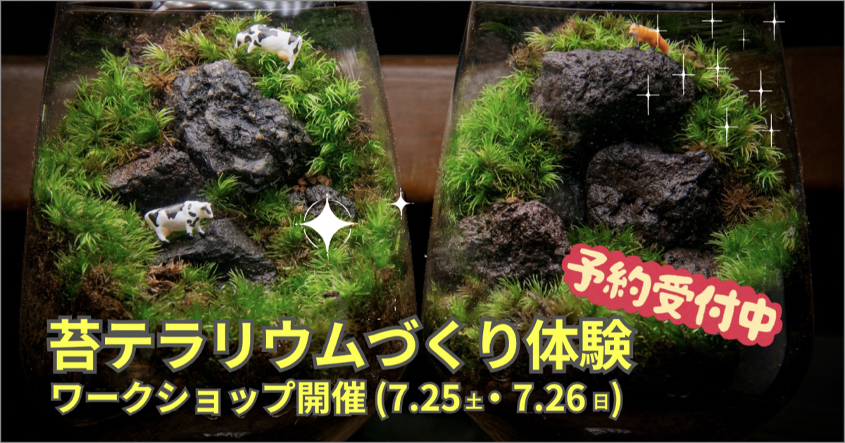 “オリジナルの癒しテラリウムを作る!” 苔テラリウムづくり体験ワークショップ 2026.7.25(土) 7.26(日)