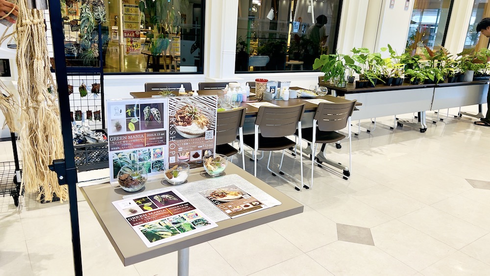 ファニチャードーム 植物の販売会 M' PLANTS
