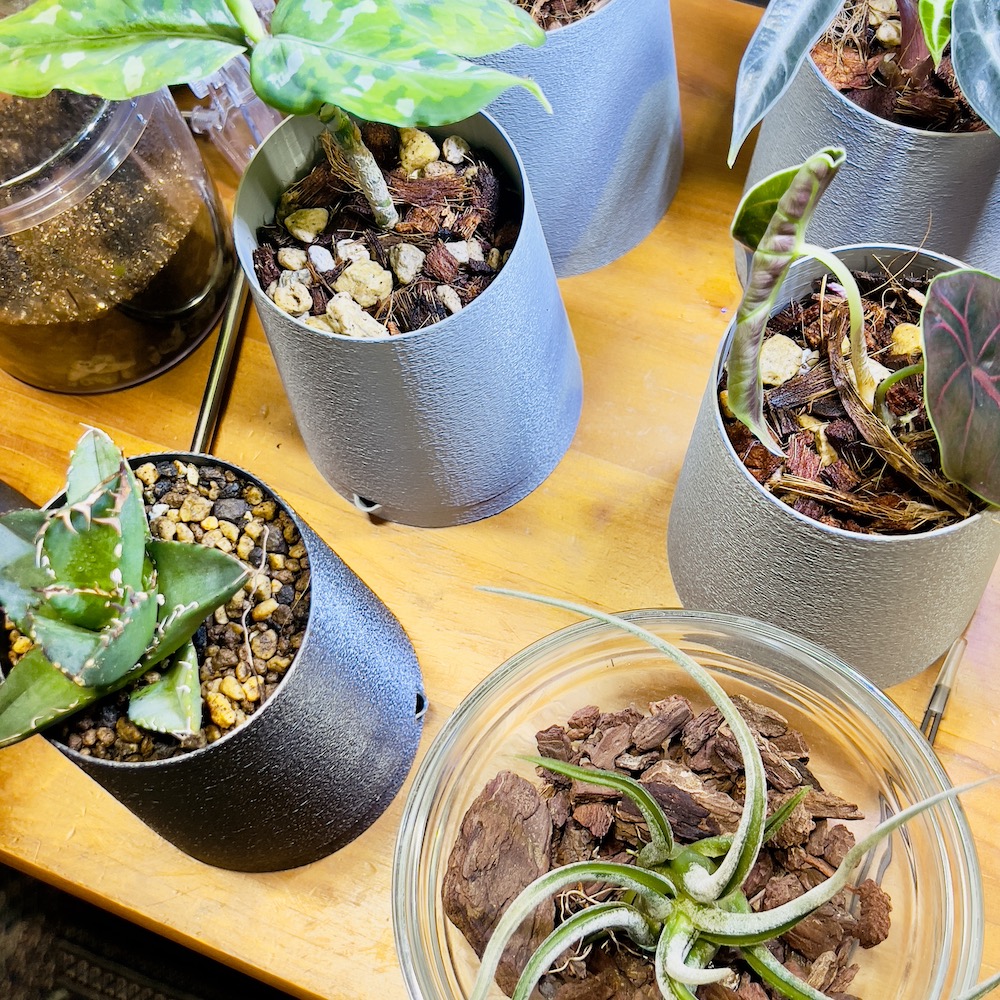 スタッフの部屋